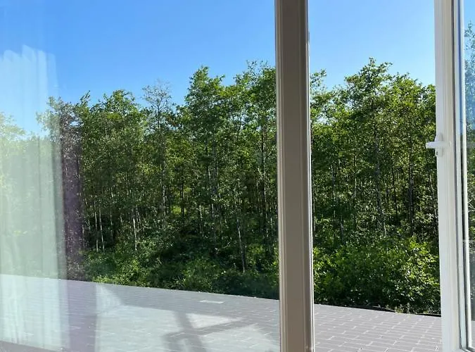 Doughlasha House V93rx64 招待所